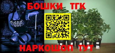 гашик Кимры