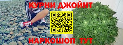 гашик Кимры