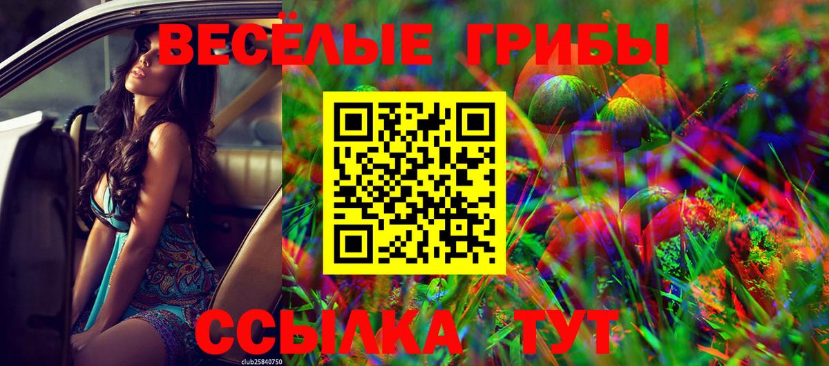 Чусовой  Галлюциногенные грибы Psilocybe  Вход с VPN 