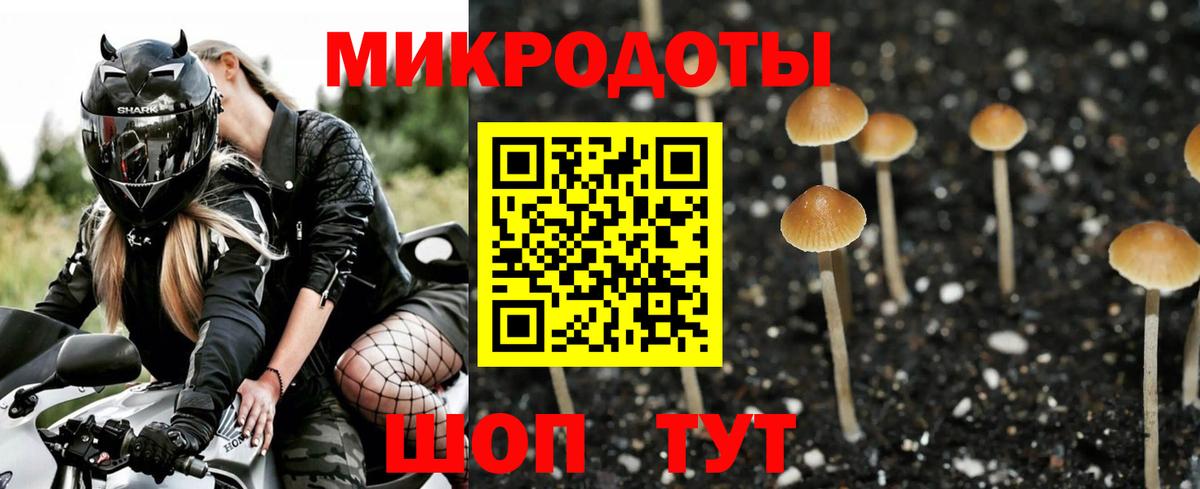 Псилоцибиновые грибы Cubensis Чусовой